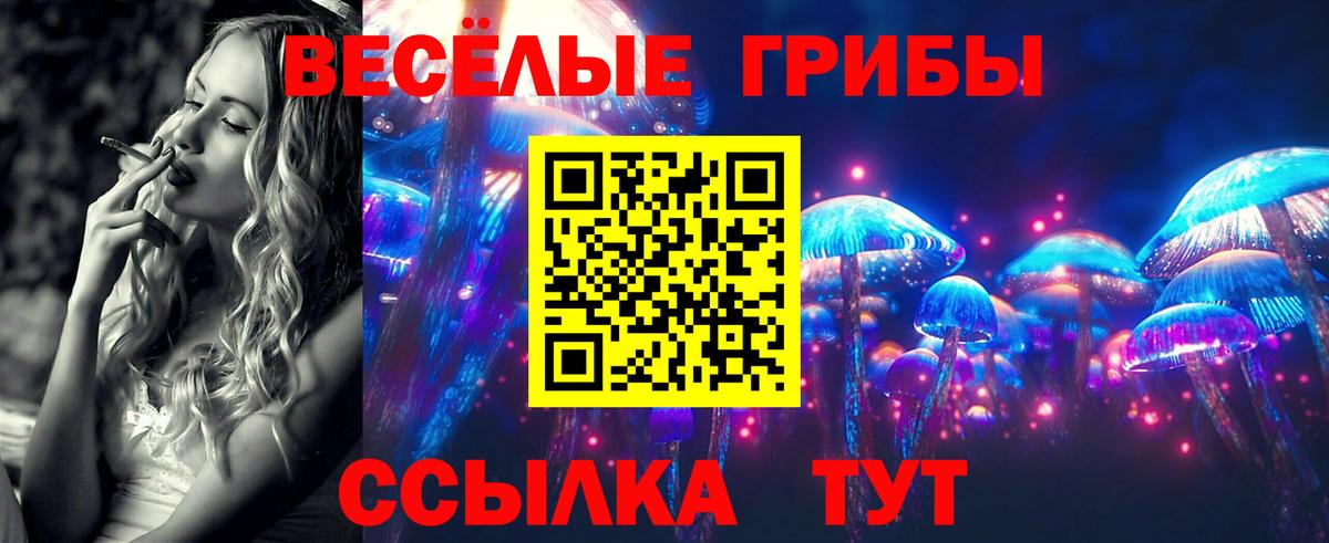 Псилоцибиновые грибы ЛСД  где продают   Галлюциногенные грибы мицелий  Можга  Вход с VPN 